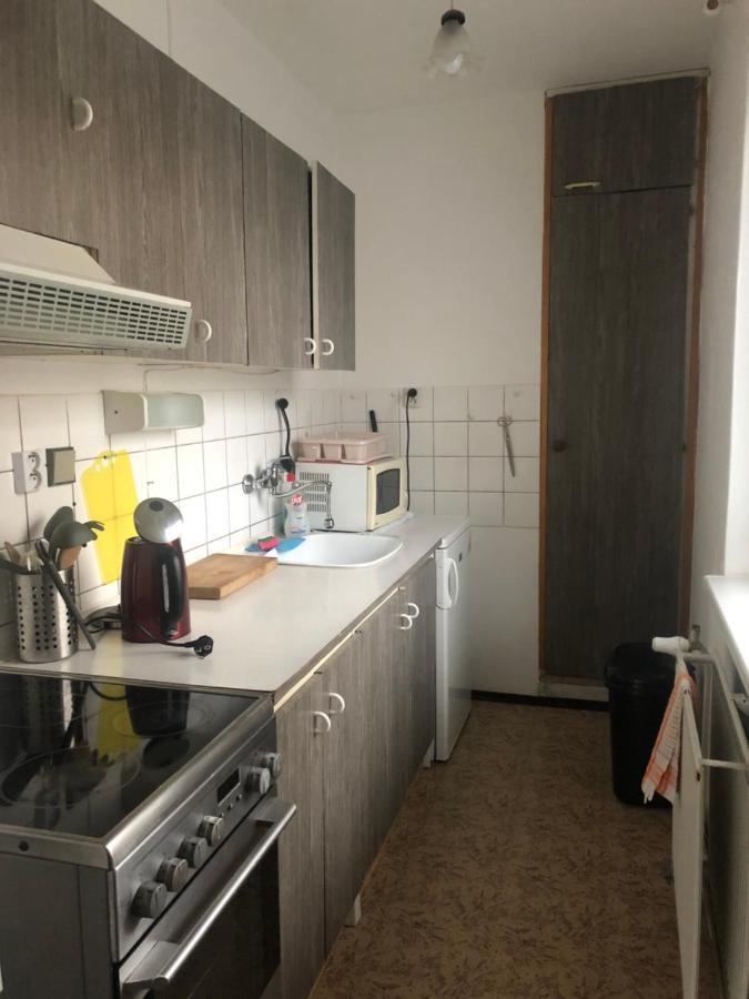 Apartman Na Horach Zlata Olesnice  外观 照片