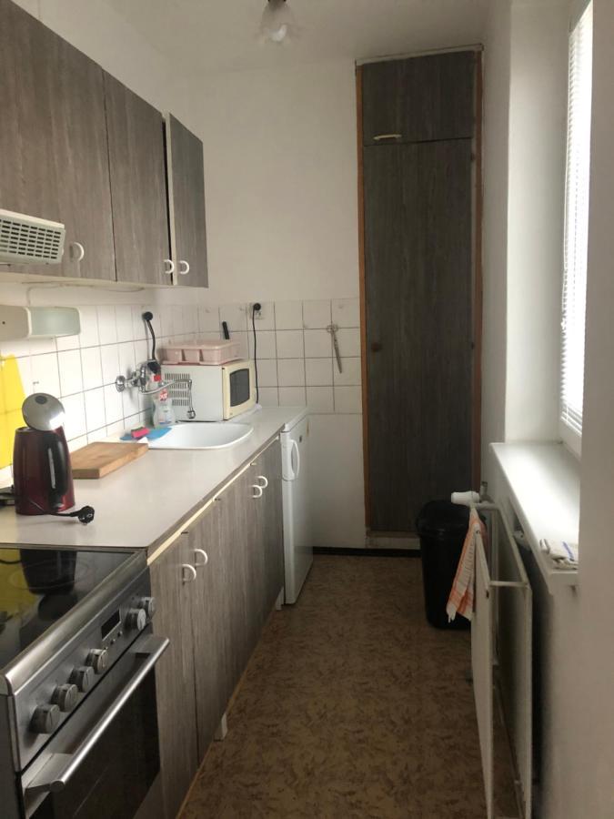 Apartman Na Horach Zlata Olesnice  外观 照片