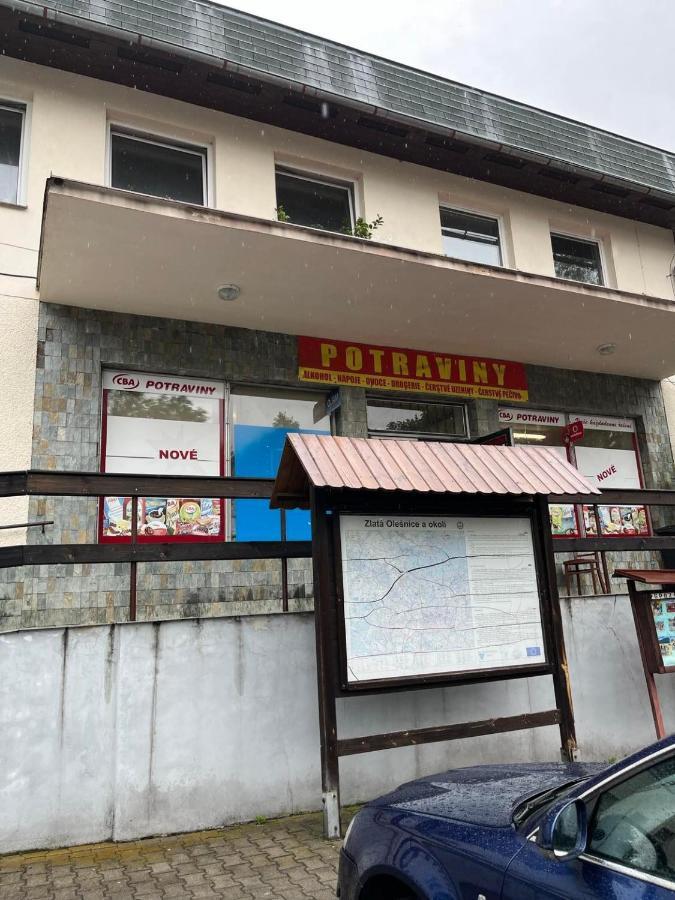 Apartman Na Horach Zlata Olesnice  外观 照片